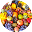 Fruits
