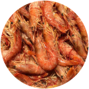 Seafood